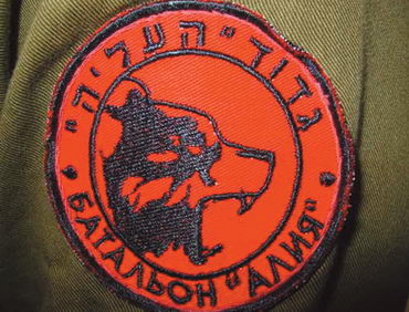 Шеврон расформированного батальона «Алия»