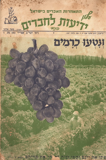 Обложка израильского журнала виноделов «Новости для друзей». Тель‑Авив, апрель 1952 